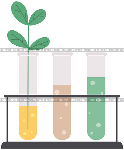 Tubes with sprout on special stand. Liquid test tube in laboratory analysis of test material. Beakes with plant and substances for researchers. Chemical lab science, medical research laboratory. Tubes with sprout on special stand. Liquid test tube in laboratory analysis of test material. Стоковая иллюстрация, агентство Ingram Publishing / Фотобанк Лори