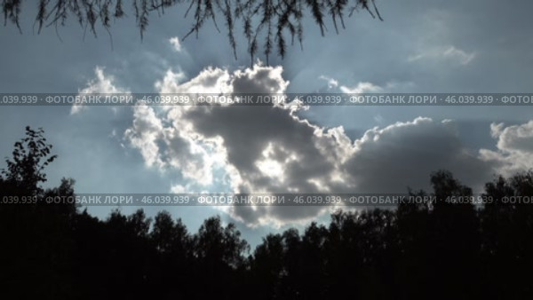Туча закрыла солнце. Август. A cloud covered the sun. August. Стоковое видео, видеограф Горшков Александр / Фотобанк Лори