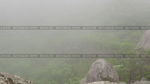 Туман над лесом. Стоковое видео, видеограф Кузнецов Александр / Фотобанк Лори