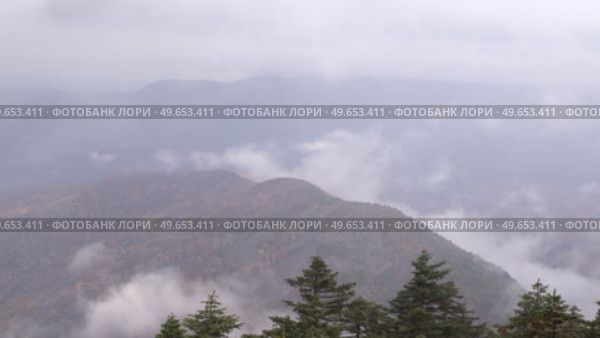Туман окутал склон горы. Стоковое видео, видеограф Кузнецов Александр / Фотобанк Лори