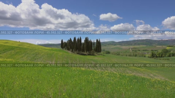 Tuscany hills with yellow flowers on green fields (2017 год). Стоковое видео, видеограф Михаил Коханчиков / Фотобанк Лори