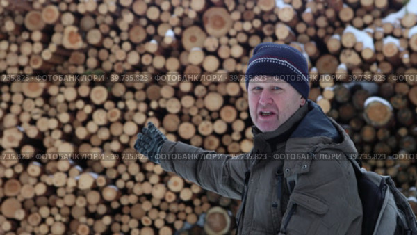 TV report about logging with male reporter speaking in frame. Стоковое видео, видеограф Владимир Григорьев / Фотобанк Лори