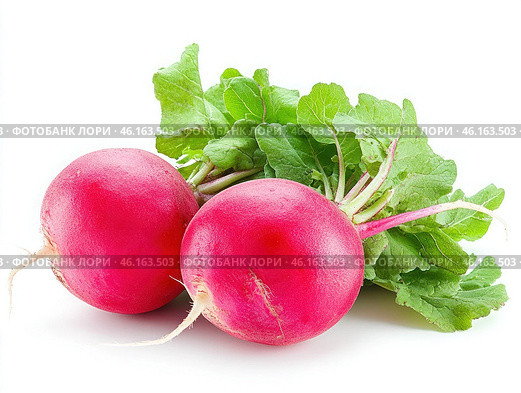 Two radishes are sitting on a white background. Стоковое AI-изображение, AI-художник Ярославский Максим / Фотобанк Лори