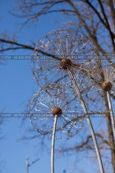 Two sculptures made of metal in the form of large dandelions (2024 год). Редакционное фото, фотограф Татьяна Толстая / Фотобанк Лори