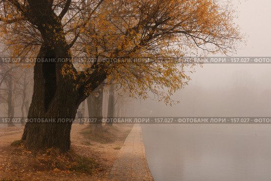 У пруда. Стоковое фото, фотограф Julia Shepeleva / Фотобанк Лори
