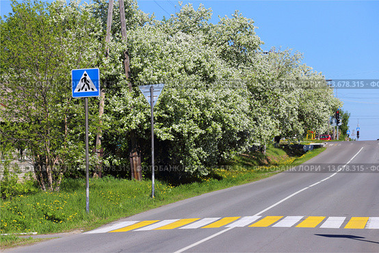 Улица Ишимская цветет в городе Ялуторовск (2015 год). Стоковое фото, фотограф Анатолий Матвейчук / Фотобанк Лори
