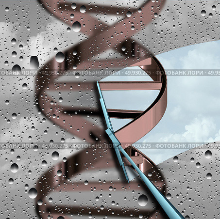 Understanding DNA research as a blurry double helix as a concept for genetic biotechnology and chromosome study and medical discovery as a 3D illustration. Стоковое фото, агентство Ingram Publishing / Фотобанк Лори
