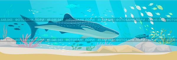 Underwater ocean fauna with exotic fishes. Ocean bottom with marine life reprsentatives. Marine underwater world with school of tropical fish. Seascape, undersea landscape vector illustration. Underwater ocean world with exotic fishes. Ocean bottom with marine life, school of tropical fish. Стоковая иллюстрация, агентство Ingram Publishing / Фотобанк Лори