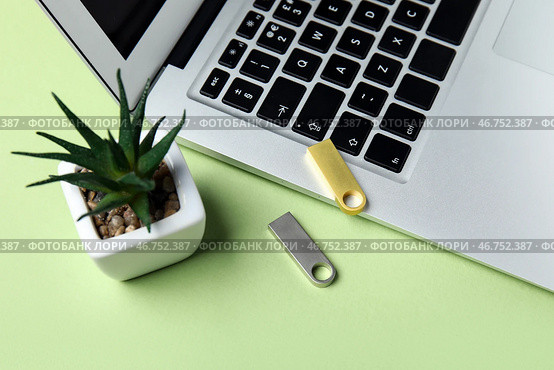 USB-накопители, современный ноутбук и комнатное растение на зеленом столе. Стоковое фото, фотограф Pixel_shot / Фотобанк Лори