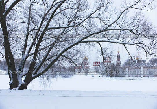Утром около Новодевичьего монастыря (2012 год). Стоковое фото, фотограф Павел Широков / Фотобанк Лори