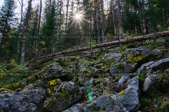 Южный Урал, курумник на подъёме на Айгирские скалы (Зубы Шурале). Southern Urals, stone placer on the ascent to the Aigir rocks (Teeth of the Shurale). Стоковое фото, фотограф Евгений Романов / Фотобанк Лори