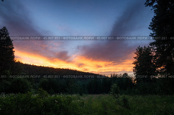 Южный Урал. Силуэты сосен на фоне закатного неба. The Southern Urals. Silhouettes of pine trees against the sunset sky. Стоковое фото, фотограф Евгений Романов / Фотобанк Лори