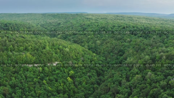 Южный Урал, смешанный горный лес летом. Вид с воздуха. The Southern Urals, mixed mountain forest in summer. Aerial view. Стоковое видео, видеограф Евгений Романов / Фотобанк Лори