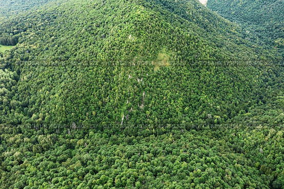 Южный Урал, смешанный горный лес летом. Вид с воздуха. The Southern Urals, mixed mountain forest in summer. Aerial view. Стоковое фото, фотограф Евгений Романов / Фотобанк Лори