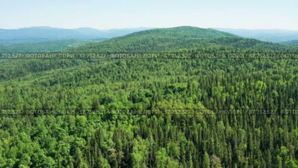 Южный Урал, Уральские горы, горная тайга. Вид с воздуха. Southern Urals, Ural Mountains, mountain taiga. Aerial view. Стоковое видео, видеограф Евгений Романов / Фотобанк Лори