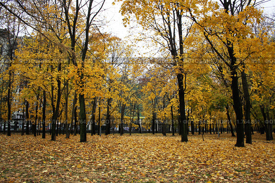 В осеннем парке (2009 год). Стоковое фото, фотограф Светлана Никулова / Фотобанк Лори