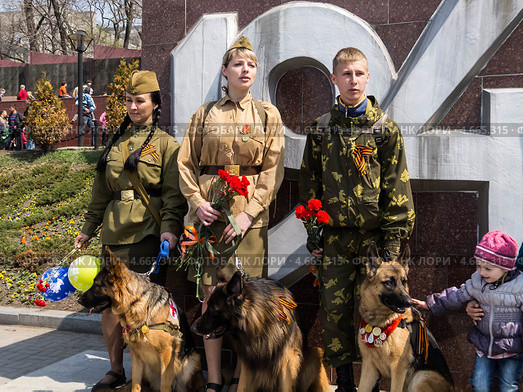 В память о собаках войны (2013 год). Редакционное фото, фотограф Корнилова Светлана / Фотобанк Лори