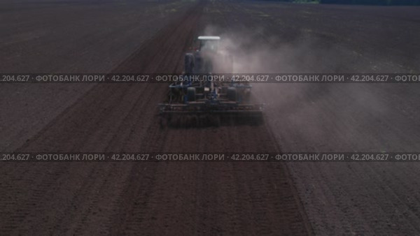 В поле. Стоковое видео, видеограф Максим Бойков / Фотобанк Лори