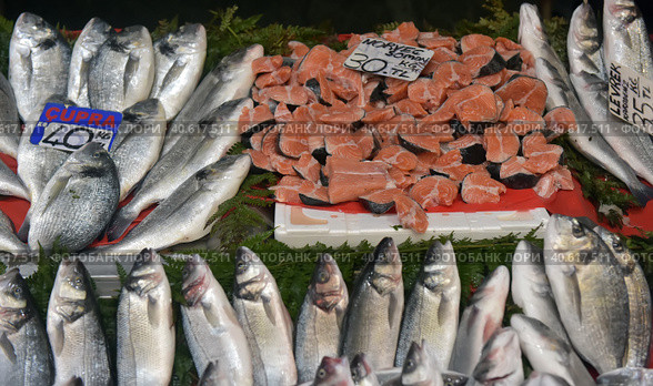 Various fish on the counter fish shop in Istanbul (2018 год). Редакционное фото, фотограф Анна Кривицкая / Фотобанк Лори