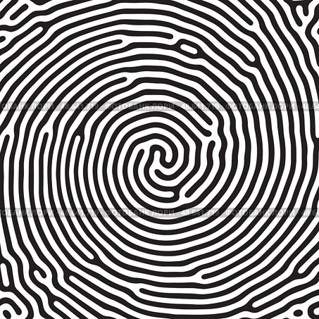 Vector black and white organic rounded lines pattern. Стоковая иллюстрация, иллюстратор Максим Гребешков / Фотобанк Лори