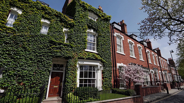 Verdant ivy scaling weathered Victorian facade, complementing neighboring red brick townhouses under bright spring sunlight, revealing historic urban architectural character. Стоковое AI-изображение, AI-художник Данил Руденко / Фотобанк Лори