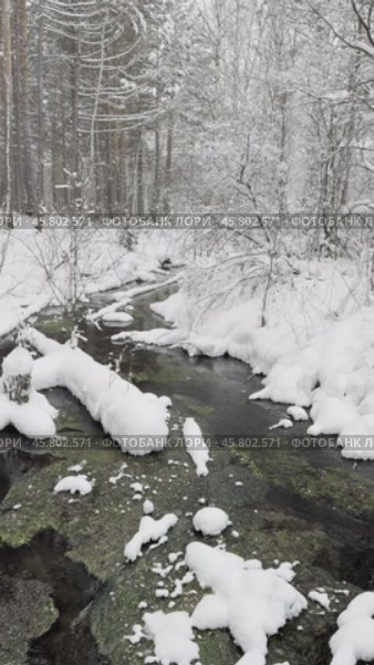 Vertical video of winter landscape with non-freezing river Oda into which natural springs and sources flow. Snow-covered river bank and forest. Winter travels and outdoors. Natural background. Стоковое видео, видеограф Виктория Катьянова / Фотобанк Лори