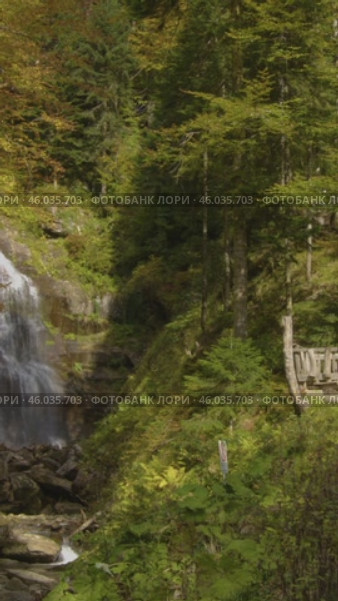 Vertical video: Tourists hiking along a trail surrounded by picturesque forest and beautiful waterfalls. Вертикальное видео: Туристы прогуливаются по туристической тропе среди живописного леса и водопадов. Редакционное видео, видеограф Валерий Тесаков / Фотобанк Лори