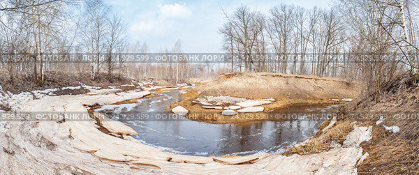 Весенний лесной пейзаж. Стоковое фото, фотограф Дмитрий Тищенко / Фотобанк Лори