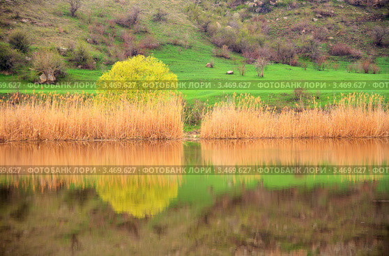 Весна на реке Южный Буг, Украина. HDR обработка. Стоковое фото, фотограф Александр Куличенко / Фотобанк Лори