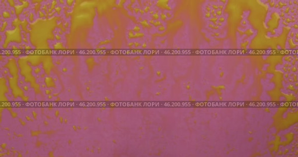 Ветер сдувает капли желтой краски с розового фона. Красивое абстрактное движение капель краски. Красочный фон. Вид сверху. Стоковое видео, видеограф Александр Собко / Фотобанк Лори