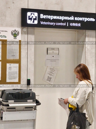 Ветеринарный контроль в аэропорту Шереметьево. Пассажир с  клеткой переноской и документами. Редакционное фото, фотограф Мария Сергеева / Фотобанк Лори