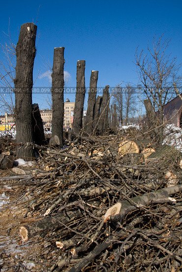 Ветки, обрезка деревьев весной в городе (2010 год). Стоковое фото, фотограф Jumbo / Фотобанк Лори