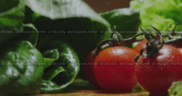 Vibrant Fresh Tomatoes and Crisp Lettuce Beautifully Arranged on a Wooden Surface. Стоковое видео, видеограф Владимир Ковальчук / Фотобанк Лори