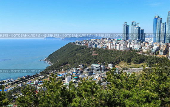 Вид на район Haeundae (Хэундэ) в Пусане, Южная Корея. Стоковое фото, фотограф Римма Тельнова / Фотобанк Лори