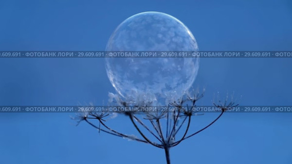 Видео замерзающего мыльного пузыря / Frozen soap bubble. Стоковое видео, видеограф Сергей Пристяжнюк (Serg Zastavkin) / Фотобанк Лори