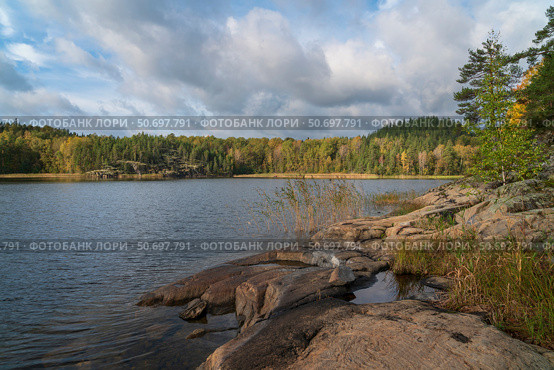 View from the shore of Lake Ladoga near the village of Lumivaara on a sunny autumn day, Ladoga skerries, Lahdenpohya, Republic of Karelia, Russia. Стоковое фото, фотограф Ula Ulachka / Фотобанк Лори