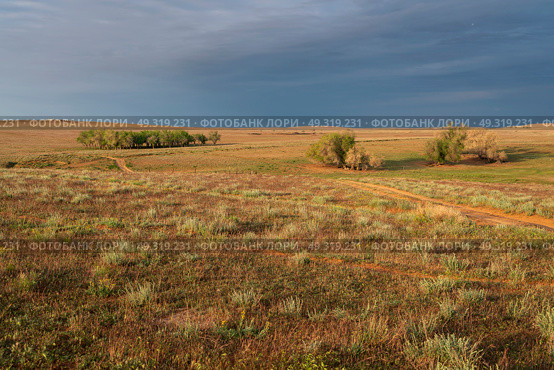 View of semi-desert landscapes opening from the foot of the tourist center "Sarai-Batu" on a sunny summer day, Kharabalinsky district, Astrakhan region, Russia. Стоковое фото, фотограф Ula Ulachka / Фотобанк Лори
