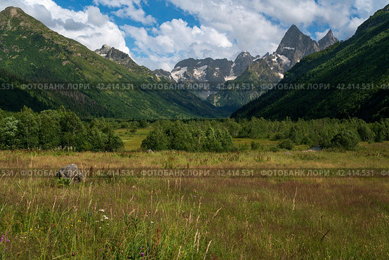 View of the floodplain of the Gonachkhir River in the northern foothills of the Caucasus Mountains near the village of Dombay on a sunny summer day, Karachay-Cherkessia, Russia. Стоковое фото, фотограф Ula Ulachka / Фотобанк Лори