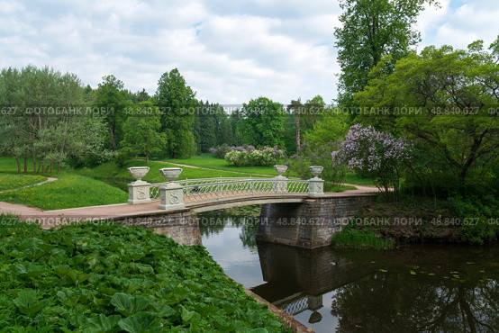View of the Slavyanka River Valley and the Cast-iron Bridge in the Pavlovsky Palace and Park Complex on a sunny summer day, Pavlovsk, St. Petersburg, Russia. Редакционное фото, фотограф Ula Ulachka / Фотобанк Лори