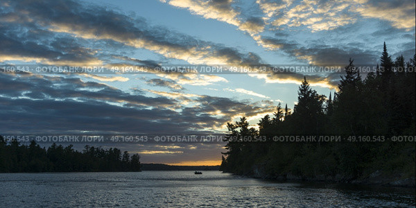 View of trees at lakeside, Lake of The Woods, Ontario, Canada. Стоковое фото, агентство Ingram Publishing / Фотобанк Лори