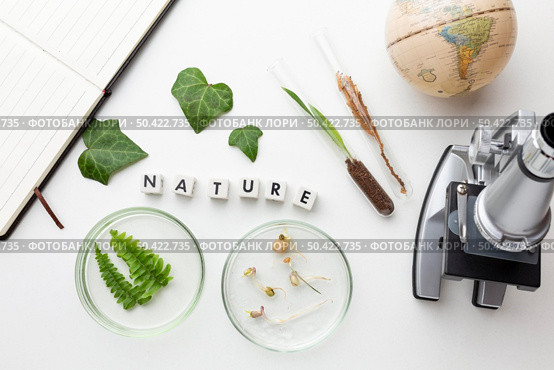 view plants glassware. Стоковое фото, агентство Ingram Publishing / Фотобанк Лори