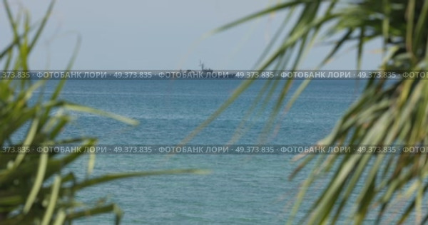 view through palm trees on a warship of the Thai Armed Forces stands in sea at sunny day. Стоковое видео, видеограф Vladimir Drozdin / Фотобанк Лори