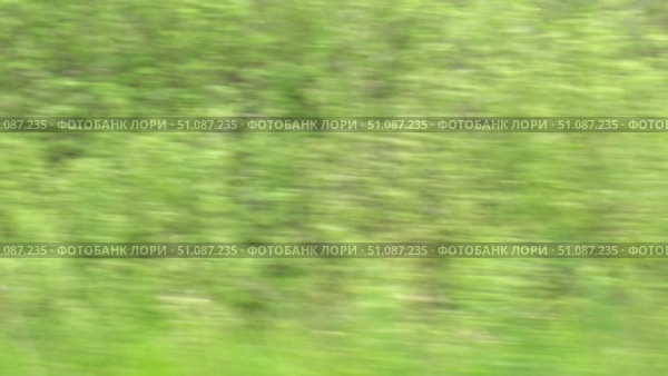 View through side window of car auto in motion on road. Highway along green forest and trees in summer. Tourism and travel, journey trip concept. Beautiful nature and landscape. Car speeding on road. Стоковое видео, видеограф Марина Демидюк / Фотобанк Лори