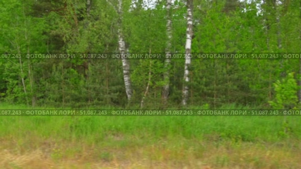 View through side window of car auto in motion on road. Highway along green forest and trees in summer. Tourism and travel, journey trip concept. Beautiful nature and landscape. Car speeding on road. Стоковое видео, видеограф Марина Демидюк / Фотобанк Лори