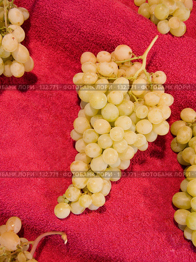 Виноград. Vines. Стоковое фото, фотограф Юрий Борисенко / Фотобанк Лори