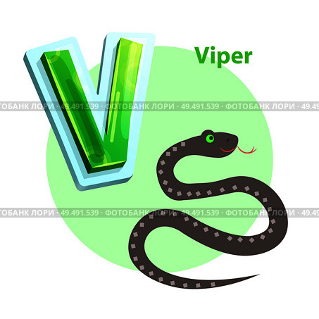 Viper spitting cartoon character representing V english consonant for children alphabet. Vector winding snake isolated to learn and memorize rudiments. Viper is for V Letter in English Alphabet for Kids. Стоковая иллюстрация, агентство Ingram Publishing / Фотобанк Лори