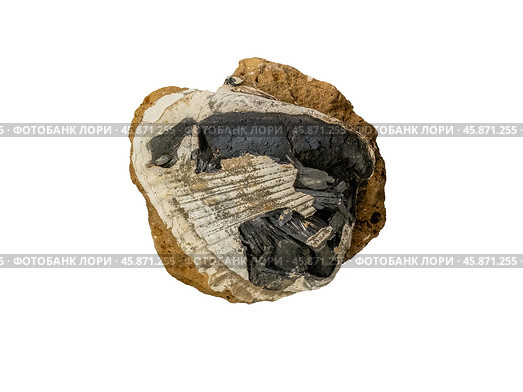 Vivianite is a hydrated iron phosphate mineral. Стоковое фото, фотограф Константин Григорьев / Фотобанк Лори