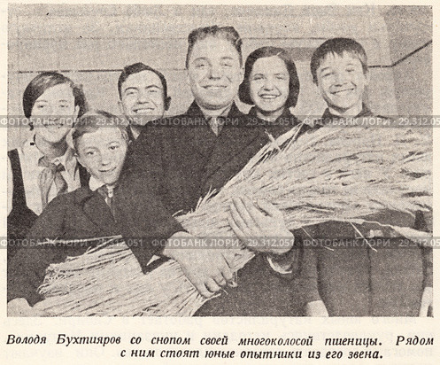 Володя Бухтияров со снопом своей многоколосковой пшеницы. Рядом с ним стоят юные опытники из его звена. Стоковая иллюстрация, иллюстратор Макаров Алексей / Фотобанк Лори