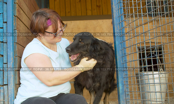 Volunteer in the nursery for dogs. Стоковое фото, фотограф Chudakov_Ivan / Фотобанк Лори