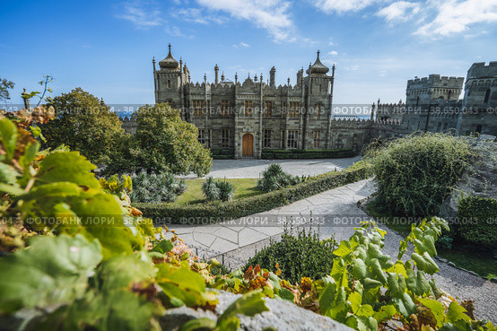 Vorontsov Palace in Alupka, Crimea. Panoramic view of castle with blue sky background. Grape vine with yellow autumnal leaves in foreground (2021 год). Стоковое фото, фотограф Igor Tichonow / Фотобанк Лори